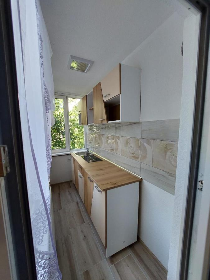 Imobil Ultracentral Baia Mare Extérieur photo